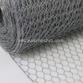 SS Hexagonal Wire Netting